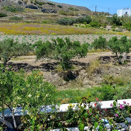 Pergola * Πολλώνια