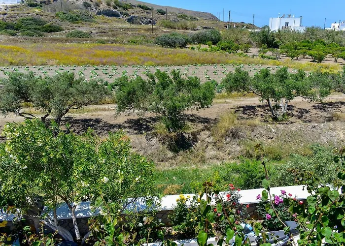 Pergola 4* Πολλώνια